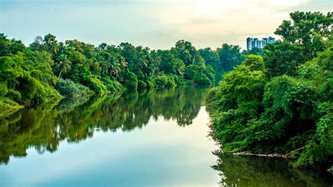 Manimala River